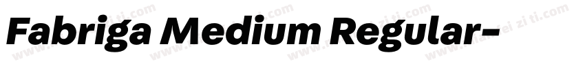Fabriga Medium Regular字体转换